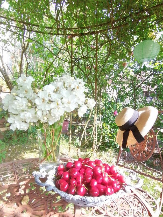 Chambre D'Hotes Les Magnolias Pontpierre Екстер'єр фото
