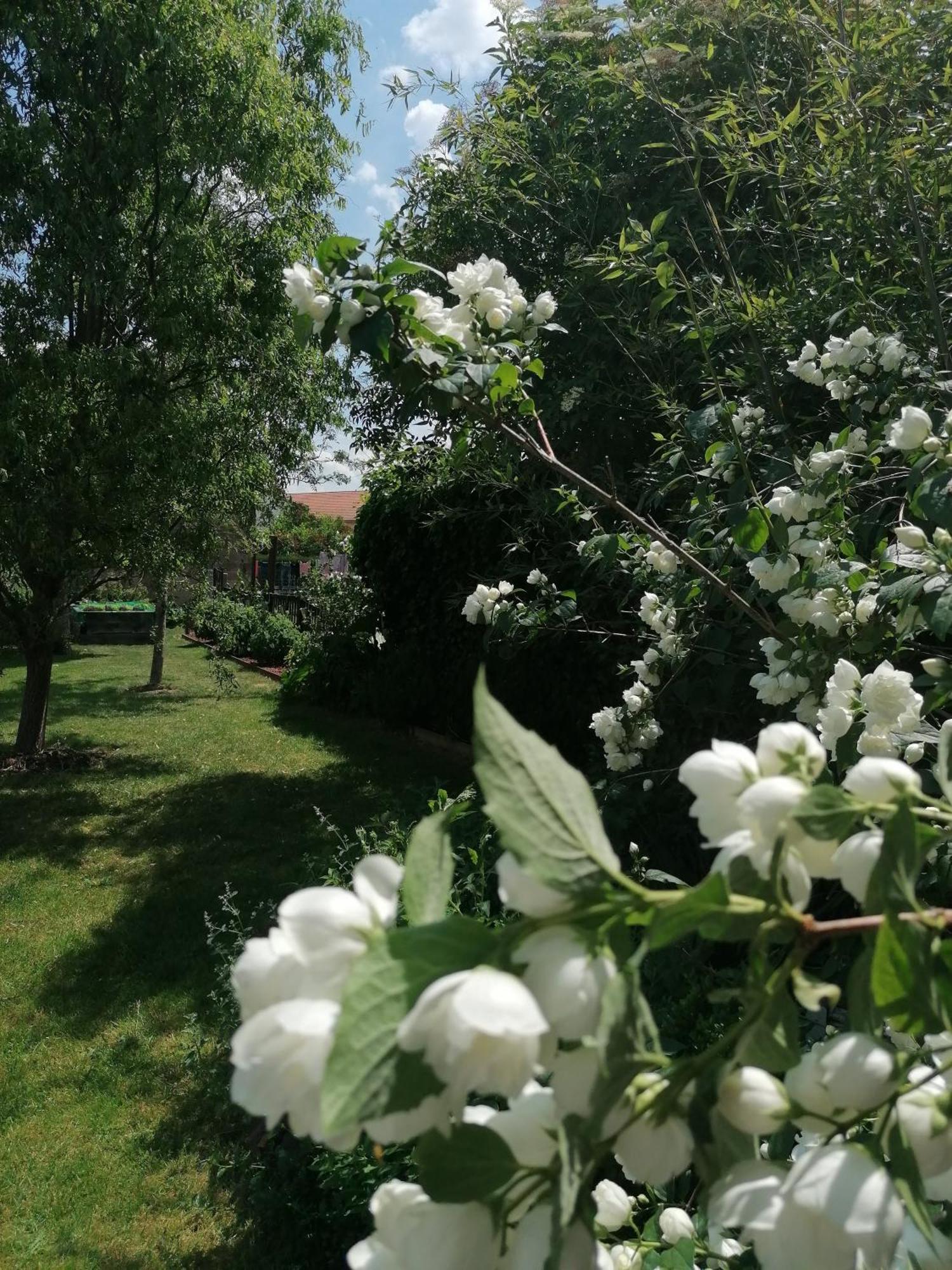 Chambre D'Hotes Les Magnolias Pontpierre Екстер'єр фото